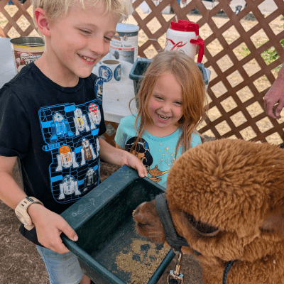 Children with alpacas