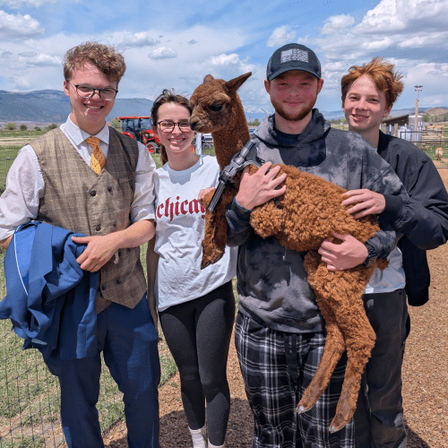 Ranch visitors holding a baby alpaca