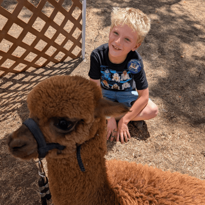 Children with alpacas