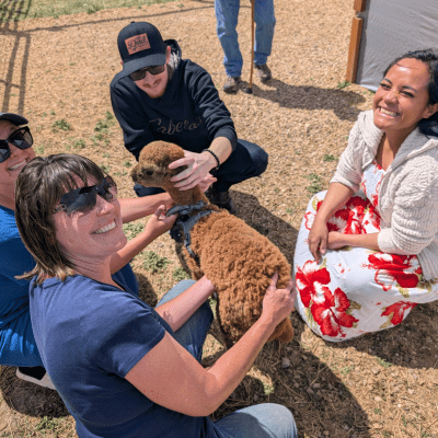 Ranch visitors petting baby alpaca